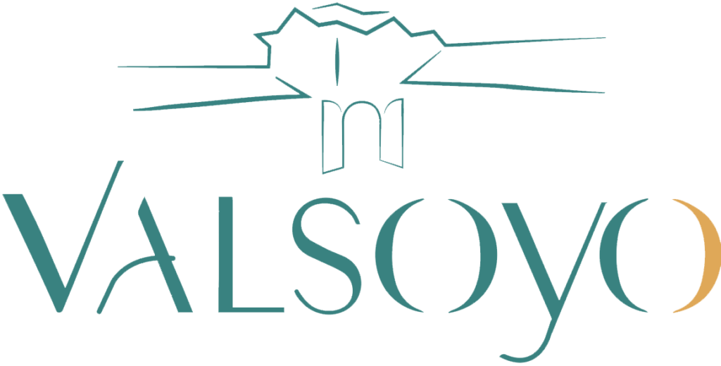 Valsoyo-logo-vert-transparent Png