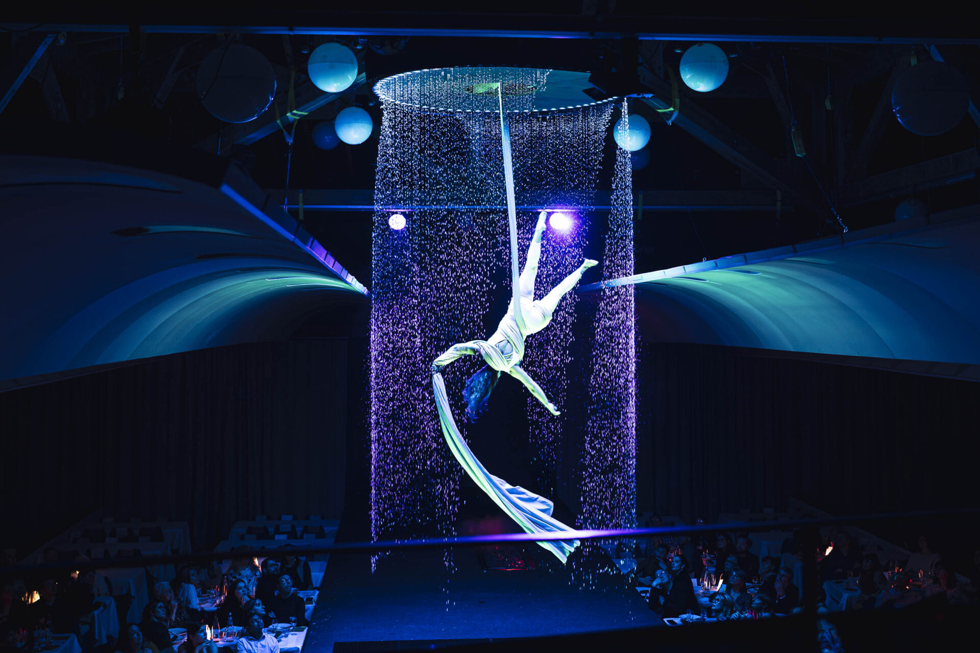 Repas spectacle Valsoyo Airlines proche de Valence